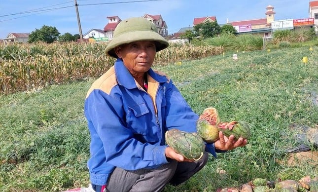 Lão nông nhờ người viết đơn xin tha cho thủ phạm để thị tốt nghiệp THPT - Ảnh 1.