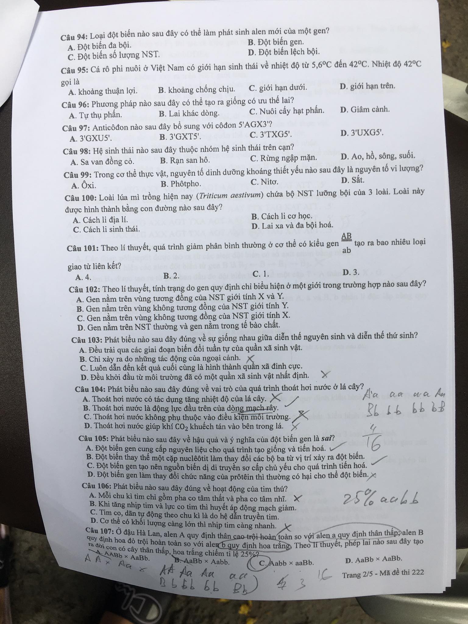Đề thi môn Sinh tốt nghiệp THPT 2022 - Ảnh 3.