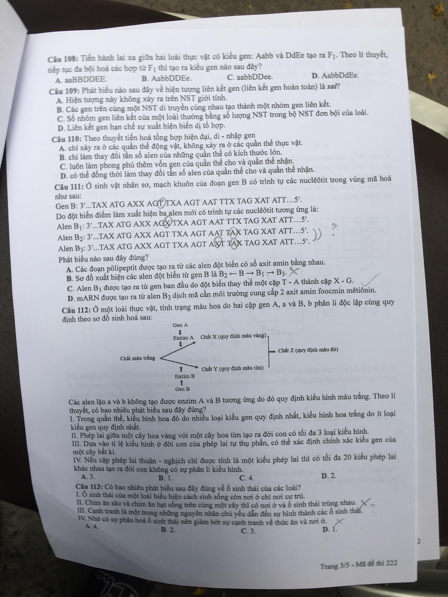 Đề thi môn Sinh tốt nghiệp THPT 2022 - Ảnh 4.