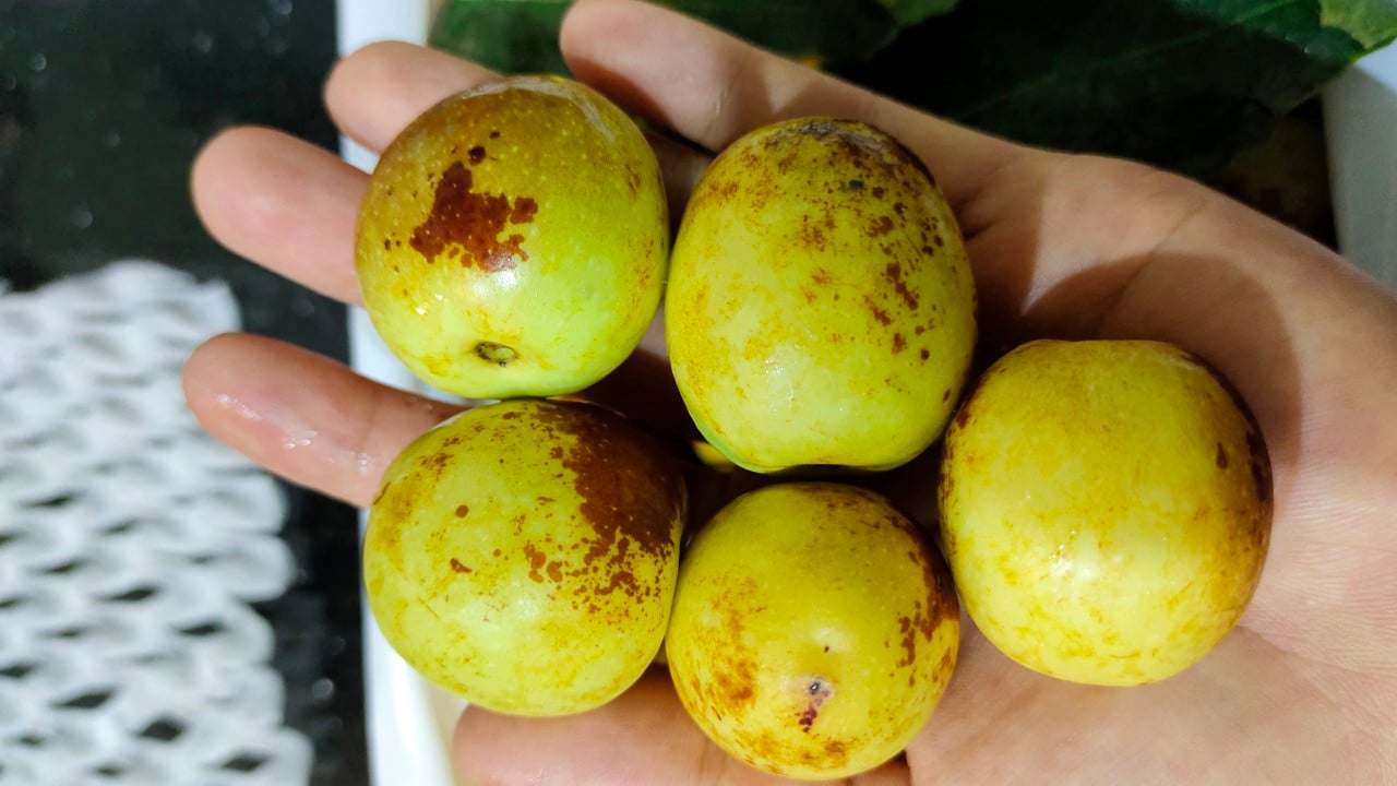 Loại táo Trung Quốc nhìn như bị thối, đắt gấp 3 lần táo Mỹ, chị em háo hức mua bằng được - Ảnh 3.