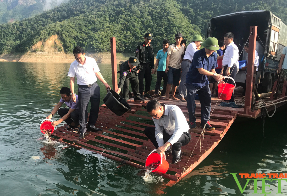 Hơn 120.000 cá giống được thả xuống lòng hồ thủy điện Sơn La và Hòa Bình - Ảnh 1. Hơn 120.000 cá giống được thả xuống lòng hồ thủy điện Sơn La và Hòa Bình - Ảnh 1.