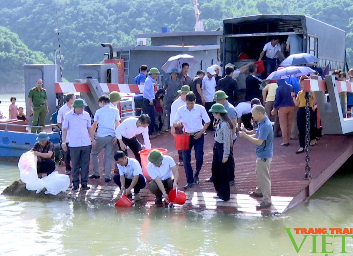 Hơn 120.000 cá giống được thả xuống lòng hồ thủy điện Sơn La và Hòa Bình - Ảnh 2. Hơn 120.000 cá giống được thả xuống lòng hồ thủy điện Sơn La và Hòa Bình - Ảnh 2.