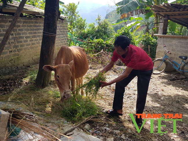 Mường Nhé: Nguồn tín dụng chính sách giúp hộ nghèo phát triển kinh tế - Ảnh 1. Mường Nhé: Nguồn tín dụng chính sách giúp hộ nghèo phát triển kinh tế - Ảnh 1.