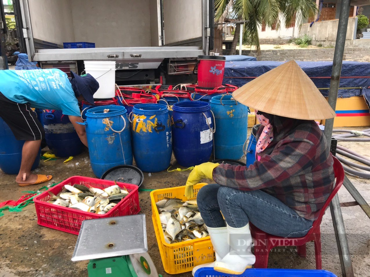 Khánh Hòa: Nữ tỷ phú làm giàu từ nghề làm chả cá sạch - Ảnh 4.