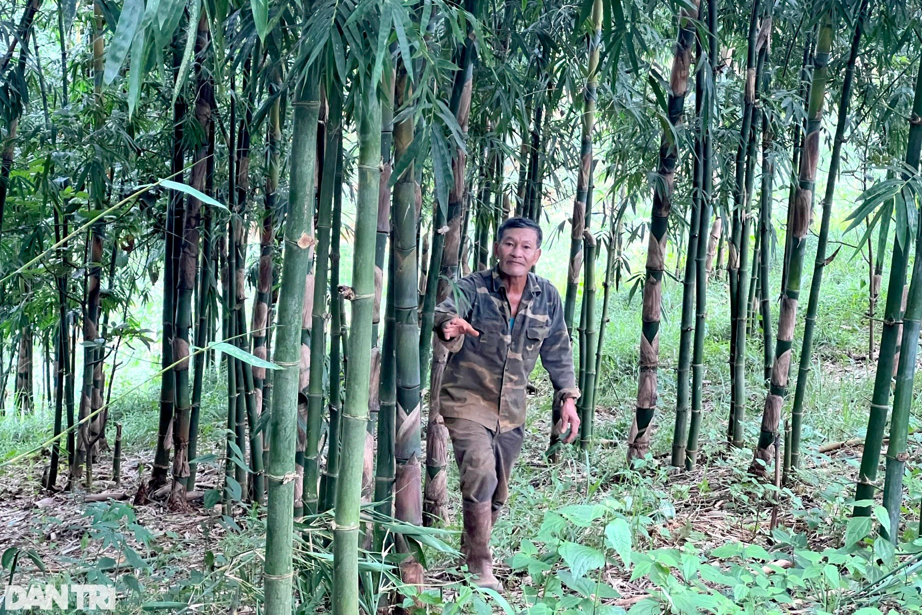 Nhờ vườn cây "trăm đốt" độc nhất vô nhị, vợ chồng lão nông cao nguyên tiền tỷ mỗi tháng - Ảnh 3. Nhờ vườn cây "trăm đốt" độc nhất vô nhị, vợ chồng lão nông cao nguyên tiền tỷ mỗi tháng - Ảnh 3.