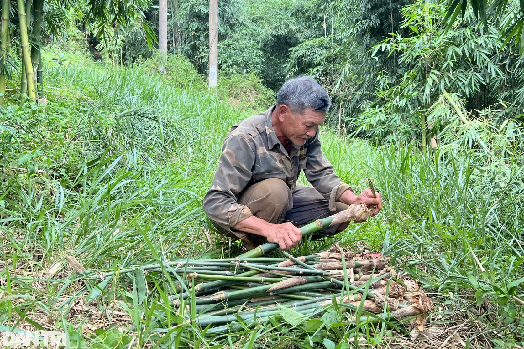 Nhờ vườn cây "trăm đốt" độc nhất vô nhị, vợ chồng lão nông cao nguyên tiền tỷ mỗi tháng - Ảnh 4. Nhờ vườn cây "trăm đốt" độc nhất vô nhị, vợ chồng lão nông cao nguyên tiền tỷ mỗi tháng - Ảnh 4.