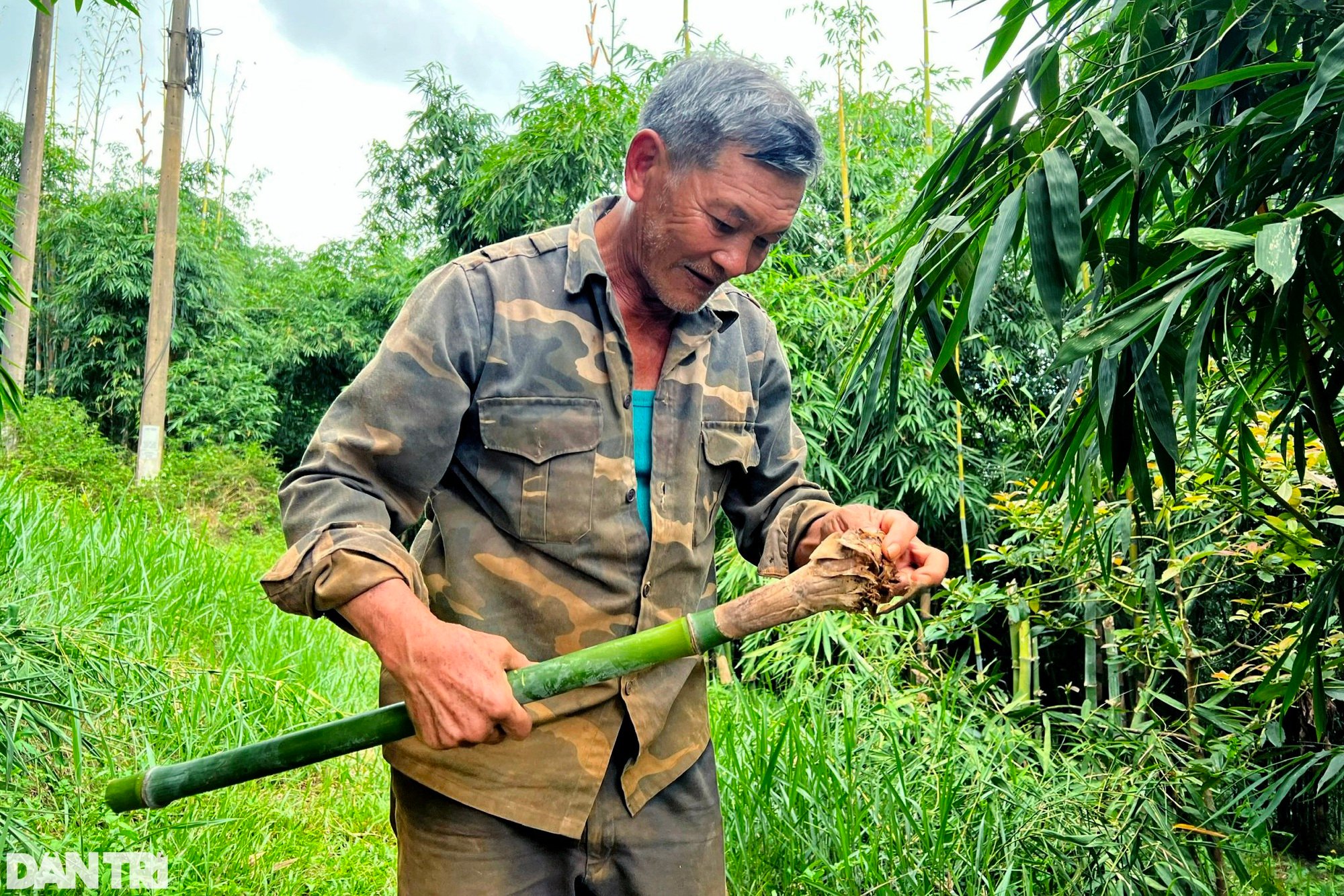 Nhờ vườn cây "trăm đốt" độc nhất vô nhị, vợ chồng lão nông cao nguyên tiền tỷ mỗi tháng - Ảnh 5. Nhờ vườn cây "trăm đốt" độc nhất vô nhị, vợ chồng lão nông cao nguyên tiền tỷ mỗi tháng - Ảnh 5.
