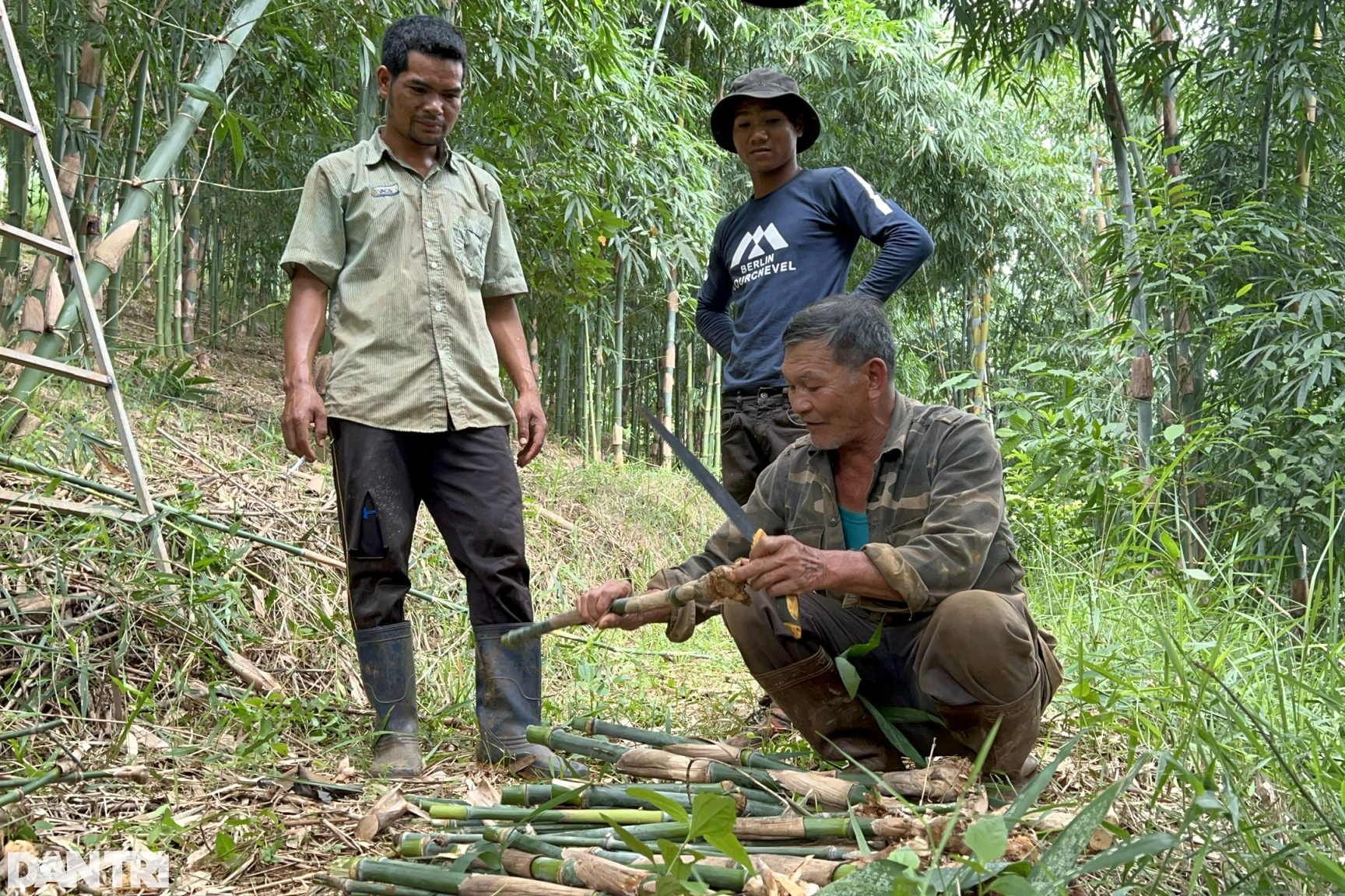 Nhờ vườn cây "trăm đốt" độc nhất vô nhị, vợ chồng lão nông cao nguyên tiền tỷ mỗi tháng - Ảnh 7. Nhờ vườn cây "trăm đốt" độc nhất vô nhị, vợ chồng lão nông cao nguyên tiền tỷ mỗi tháng - Ảnh 7.