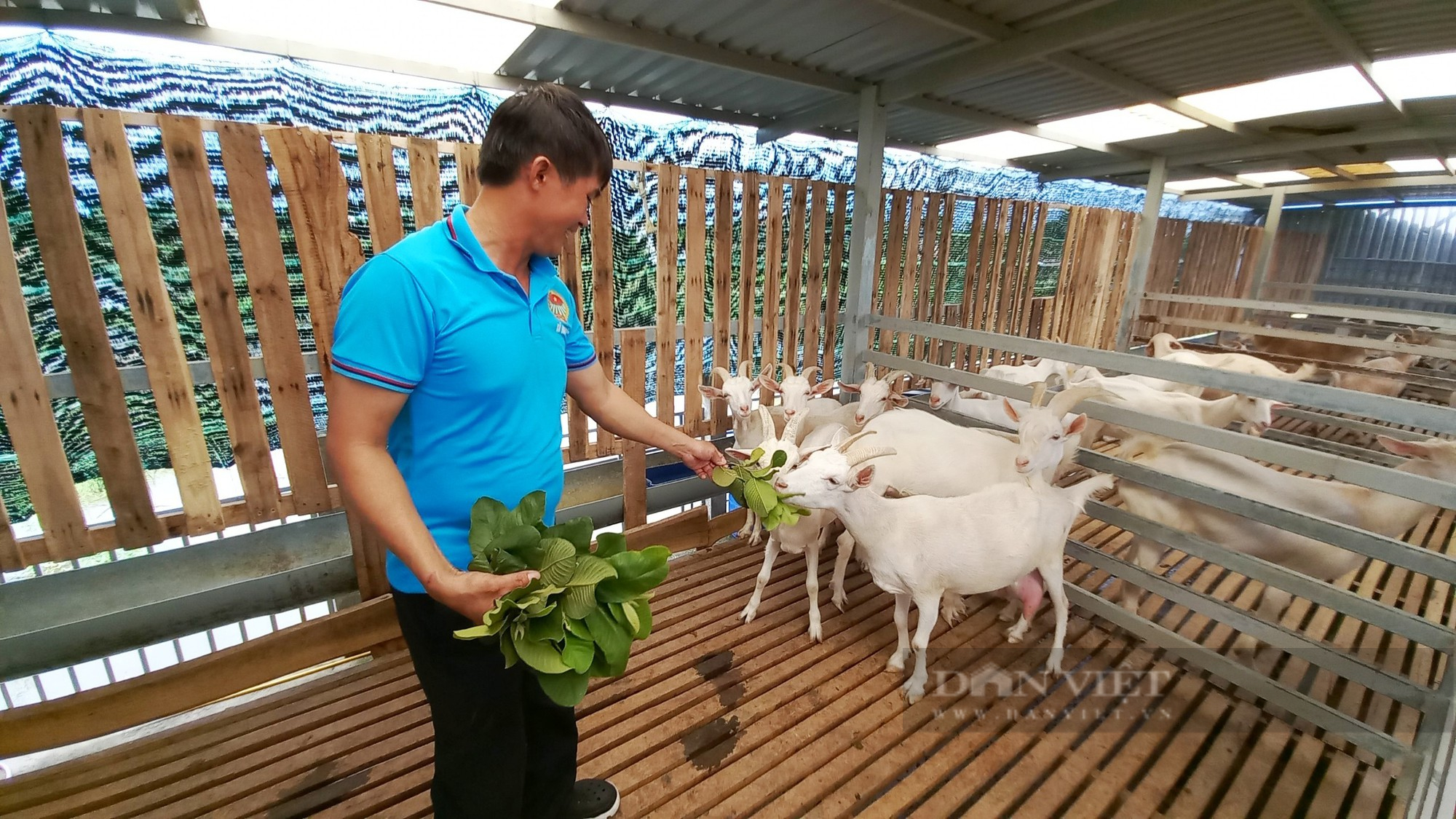 TP.HCM: HTX buôn bán ế ẩm, ngành nông nghiệp chạy lo đổ vốn  - Ảnh 4.