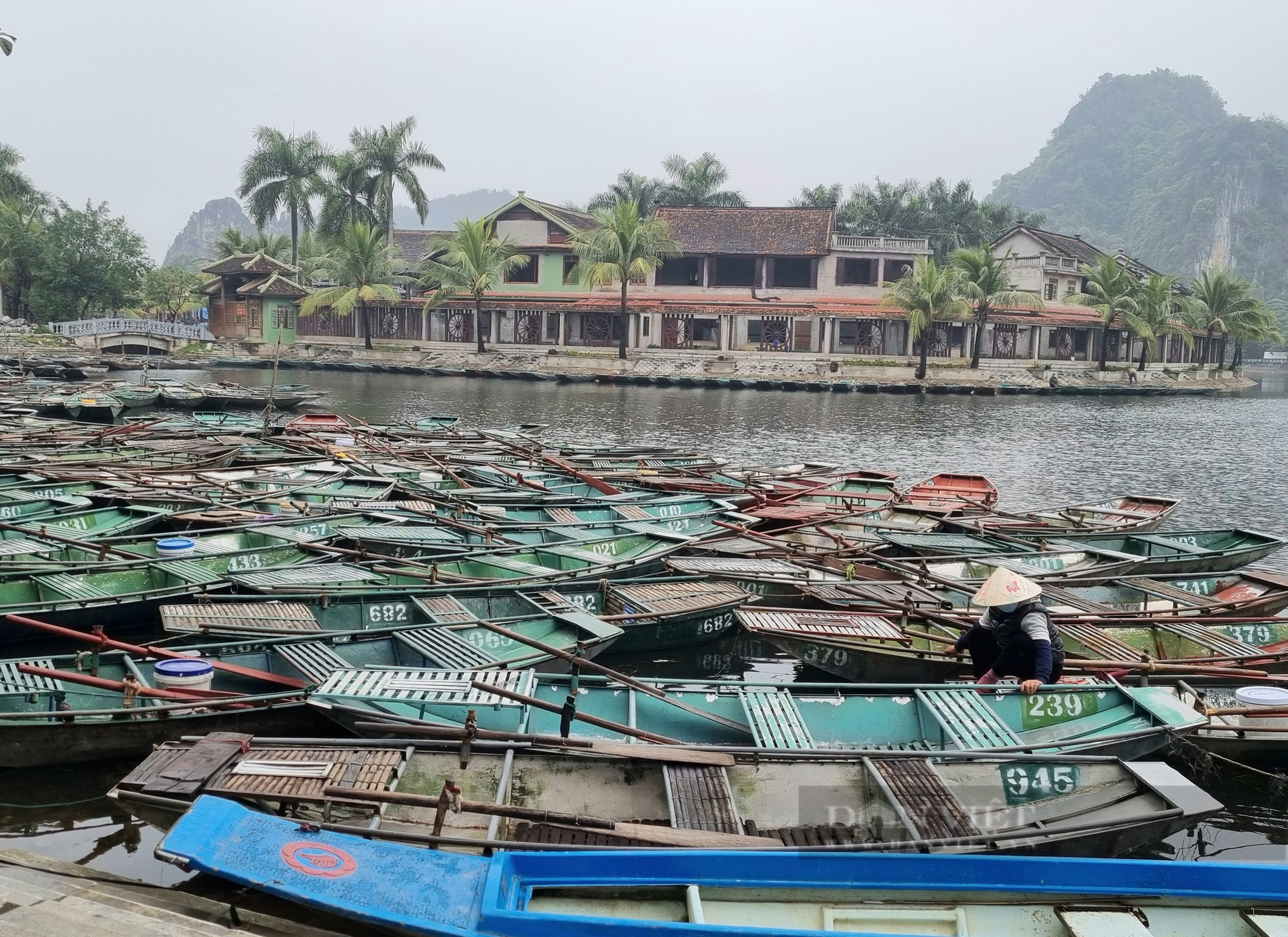 Du lịch Ninh Bình: Niềm vui người chèo đò đưa khách đi tham quan - Ảnh 5.