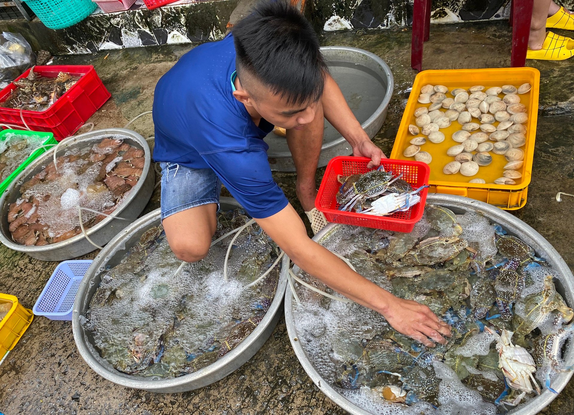 Nhiều loại hải sản giảm giá - Ảnh 2. Nhiều loại hải sản giảm giá - Ảnh 2.