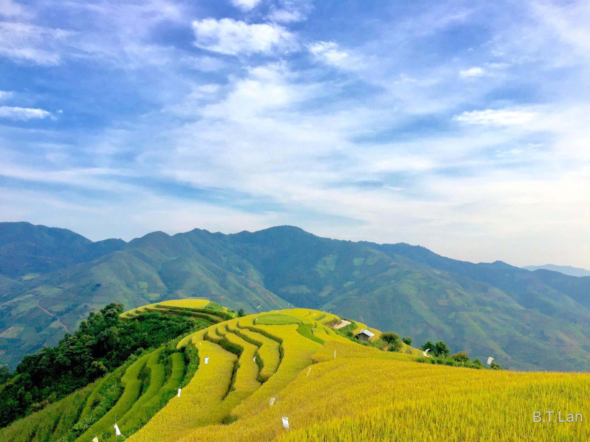Top 5 địa điểm check-in giữa “thiên đường mây” Tà Xùa mà du khách không nên bỏ qua - Ảnh 4.
