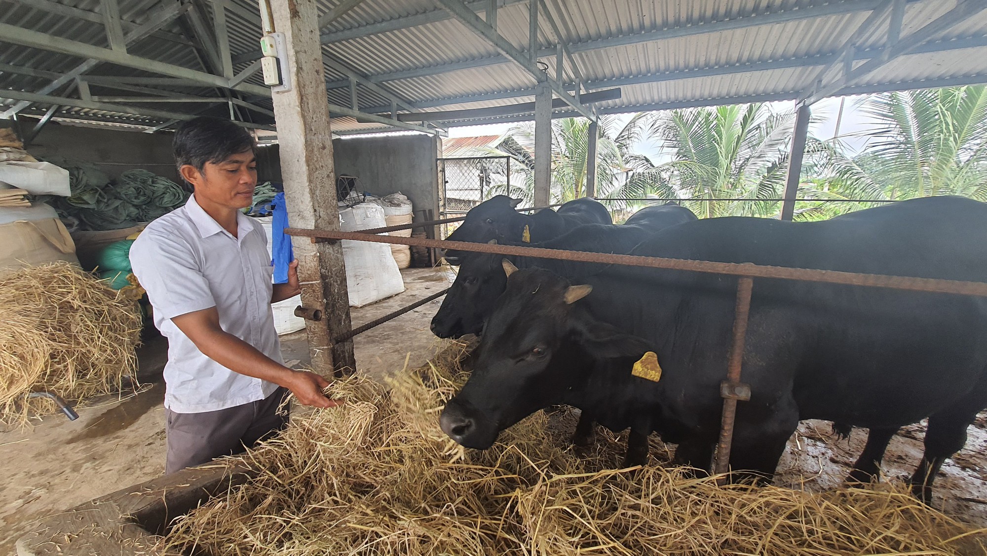 Bảo hiểm Agribank: Lá chắn tài chính vững chắc cho mọi đối tượng khách hàng - Ảnh 2.