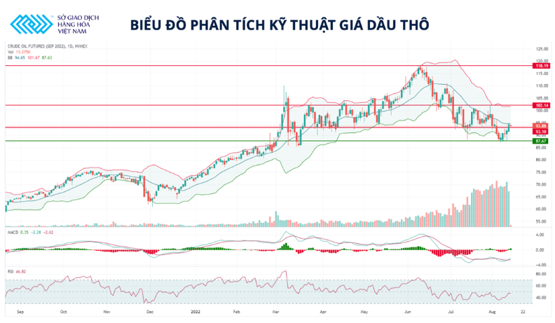 Giá xăng dầu hôm nay 13/8: Dầu thô lao dốc &quot;sốc&quot; - Ảnh 4.