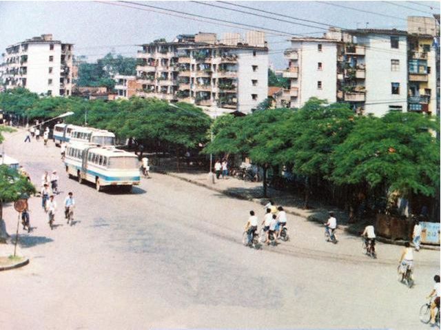  Xoài nhãn rải khắp phố phường, tưởng thiên đường nhưng lại là nỗi khổ không lời của các thành phố Trung Quốc  - Ảnh 2.