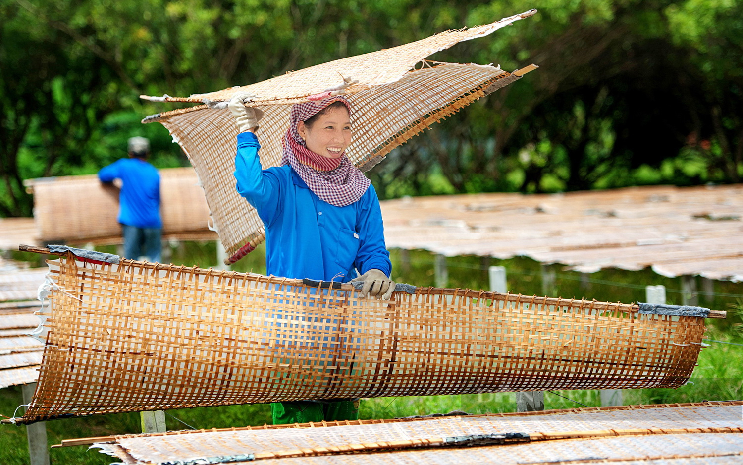 Chính sách hỗ trợ lãi vay làm nông nghiệp đô thị tại TP.HCM thời gian tới có gì đặc biệt? - Ảnh 3.