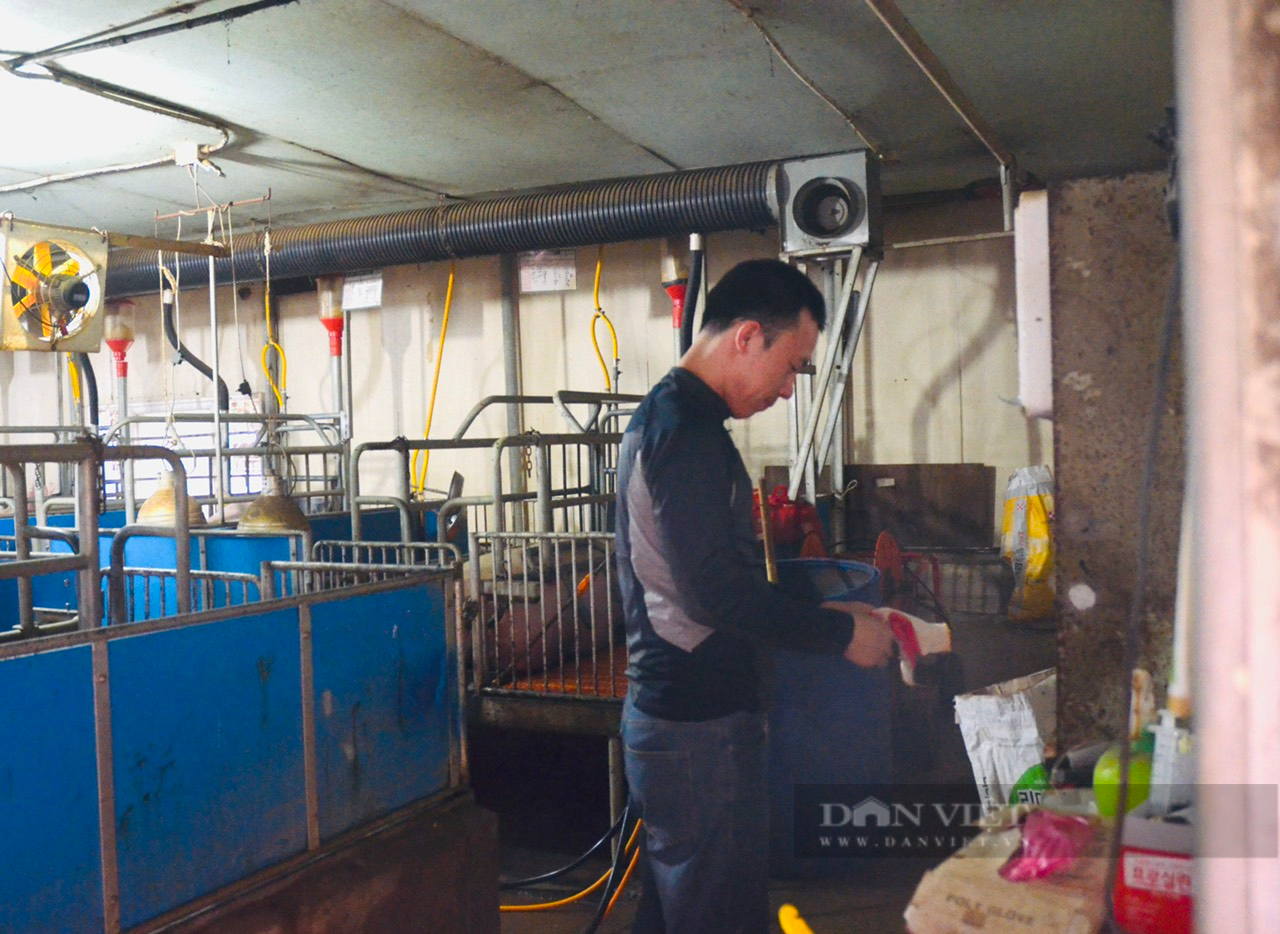 lao động đi làm việc ở nước ngoài 