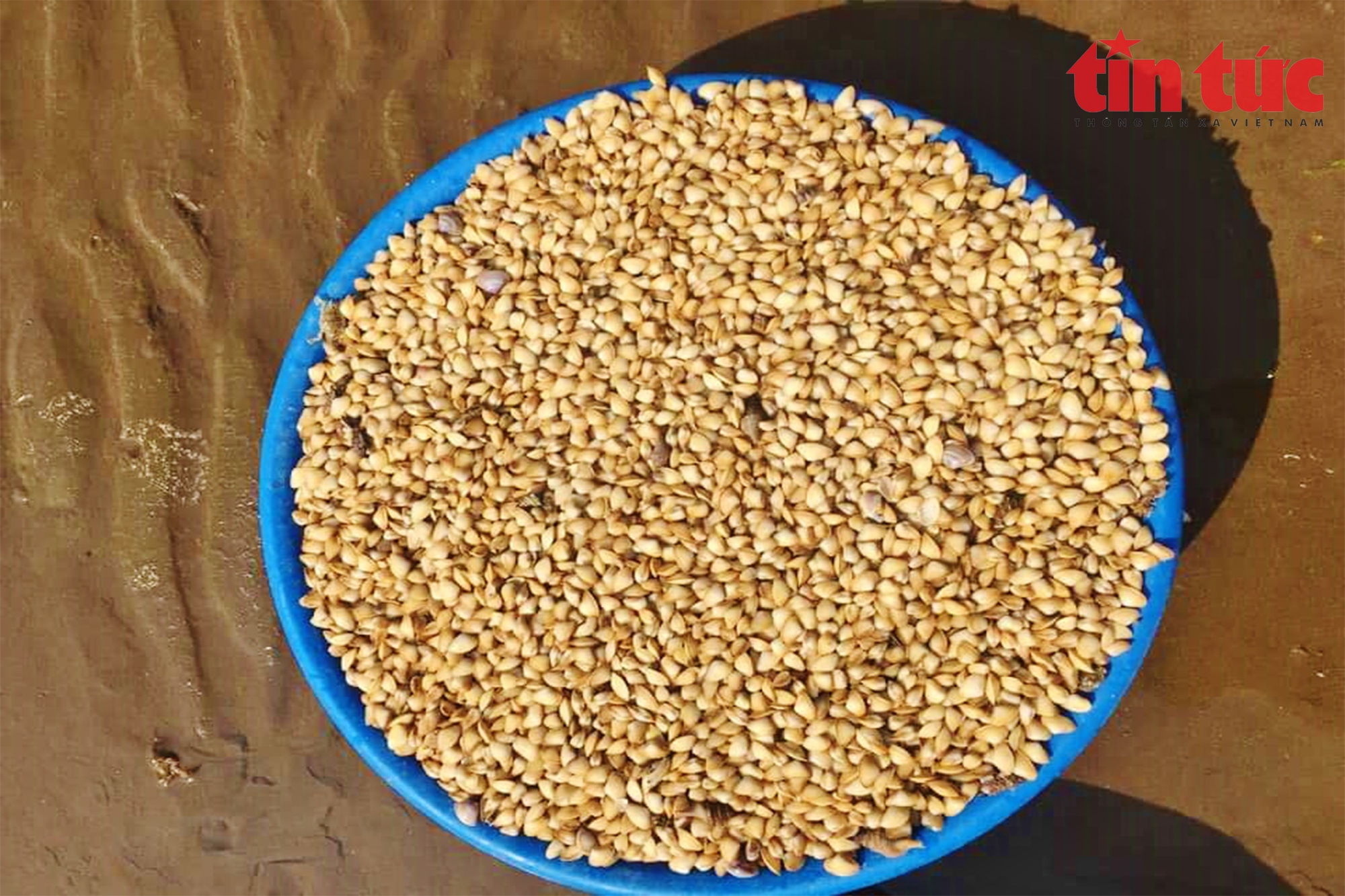 Ngư dân Đồ Sơn được mùa dắt - Ảnh 6.