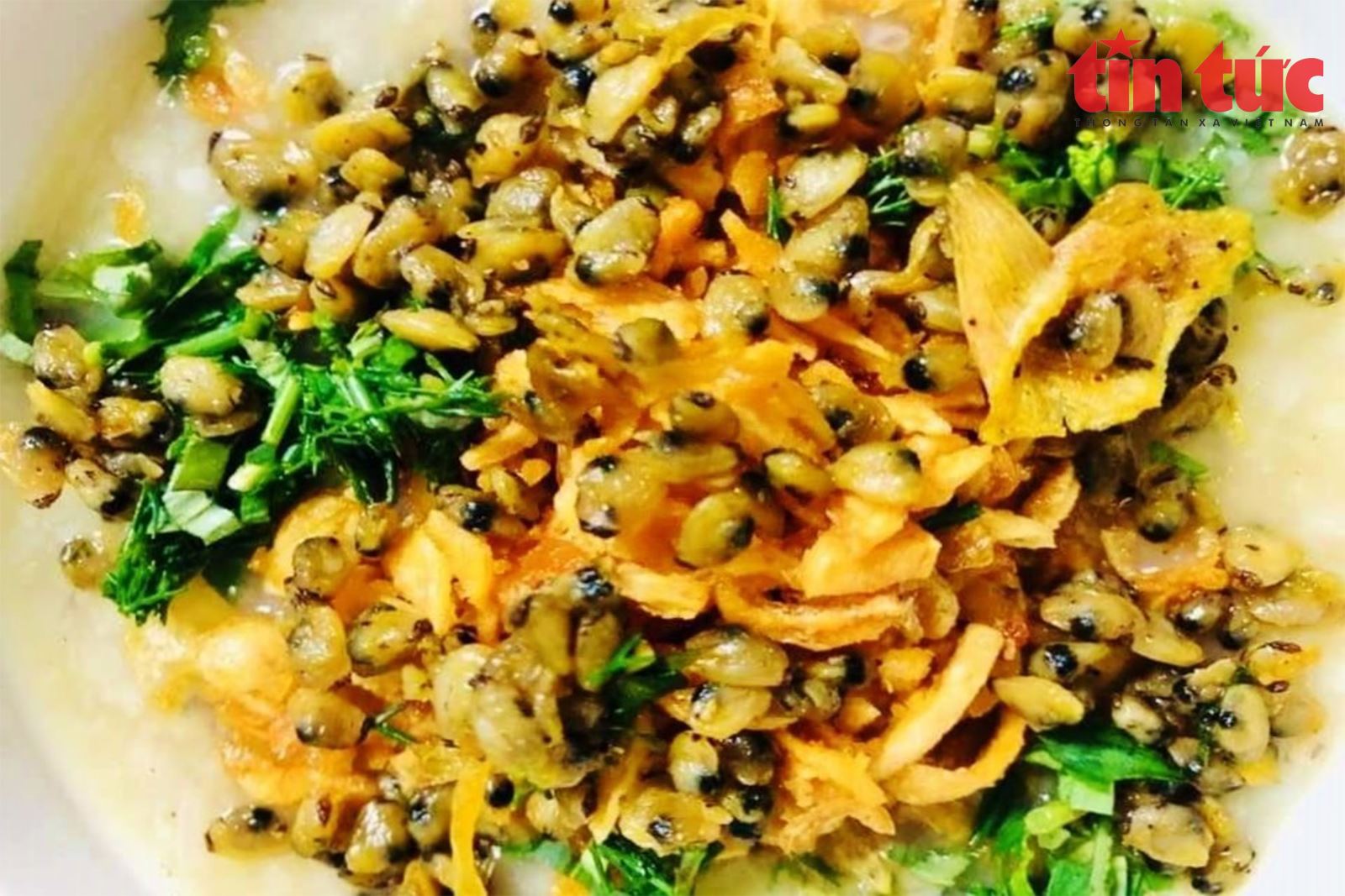 Ngư dân Đồ Sơn được mùa dắt - Ảnh 8.