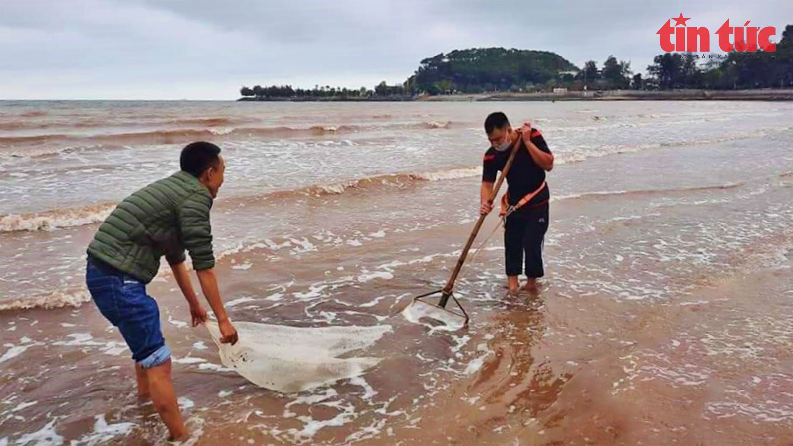 Ngư dân Đồ Sơn được mùa dắt - Ảnh 1.