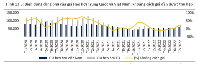 BSC: Giá heo hơi sẽ quanh mức 68.000-70.000 đồng trong năm 2023 - Ảnh 1. BSC: Giá heo hơi sẽ quanh mức 68.000-70.000 đồng trong năm 2023 - Ảnh 1.