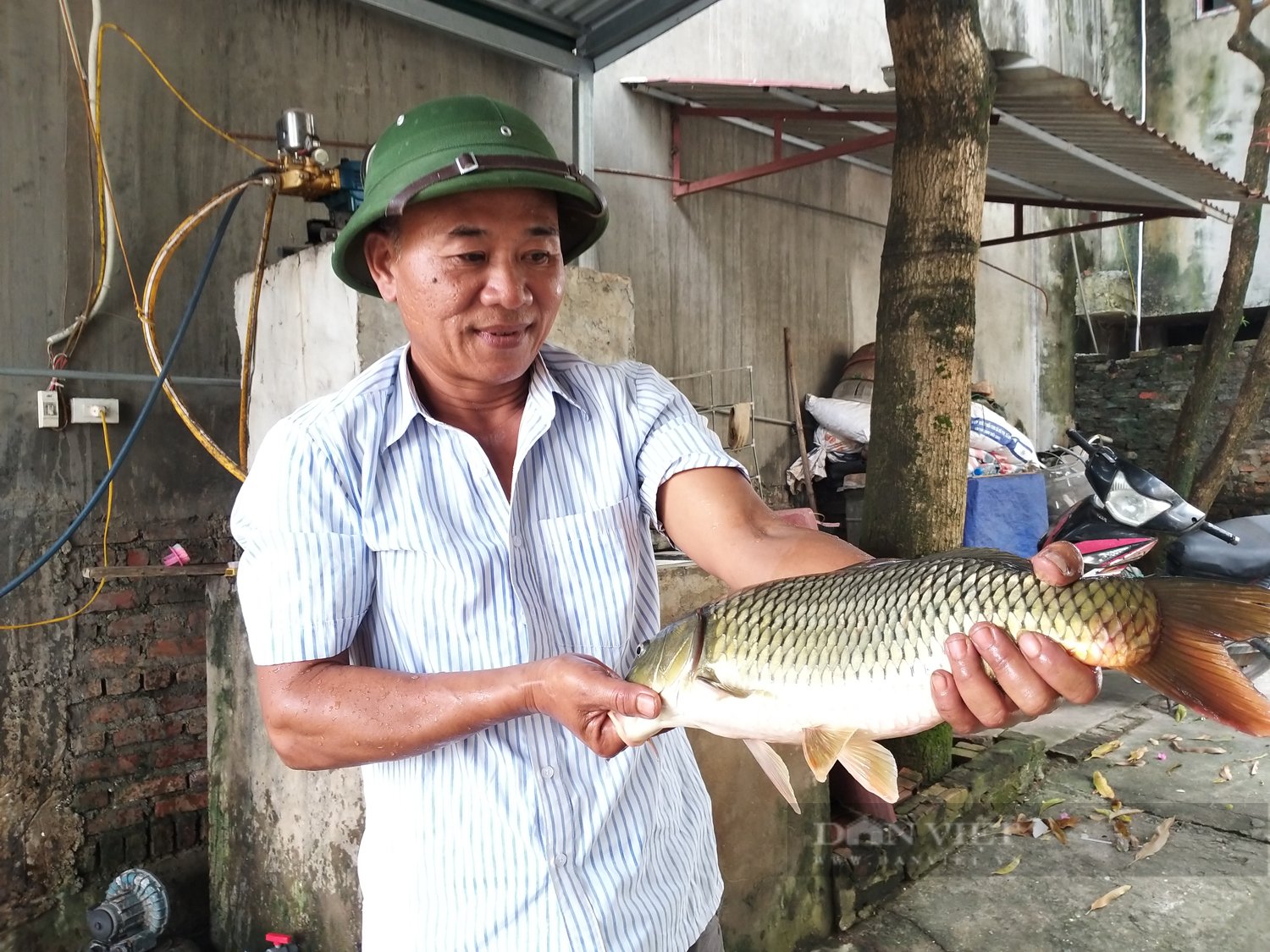 Sức sống mới trong đồng bào công giáo Chương Mỹ: Những triệu, tỷ phú lan tỏa phong trào làm giàu ở Tốt Động - Ảnh 2.