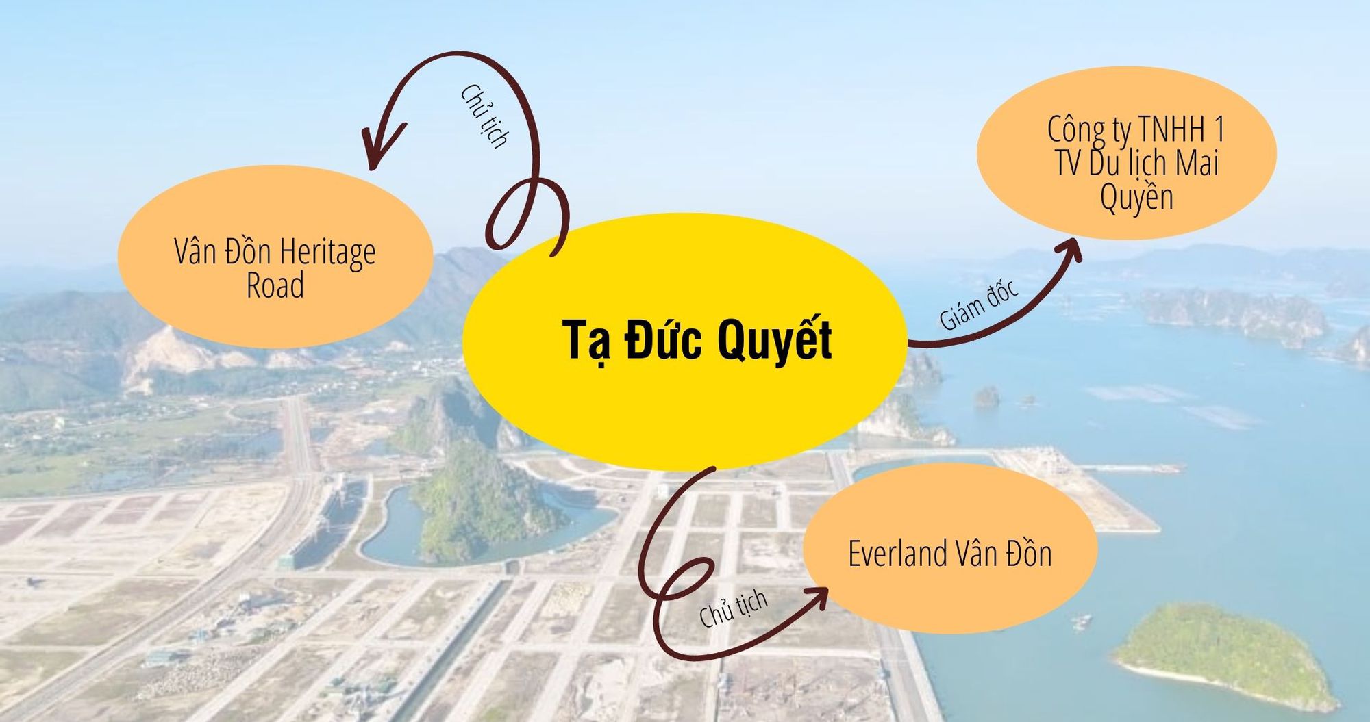 Hé mở hệ sinh thái của ông Tạ Đức Quyết - ông chủ đứng sau dự án ồn ào “hòn non bộ” ở Vân Đồn - Ảnh 2.
