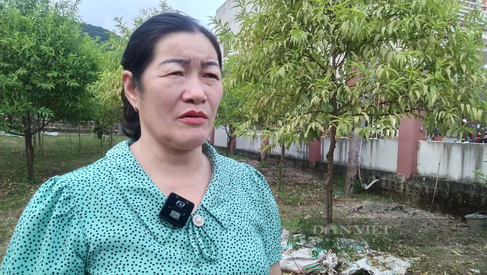 Trước khi thực hiện dự án Ao Tiên, “Hòn non bộ” có hiện trạng thế nào? - Ảnh 4.