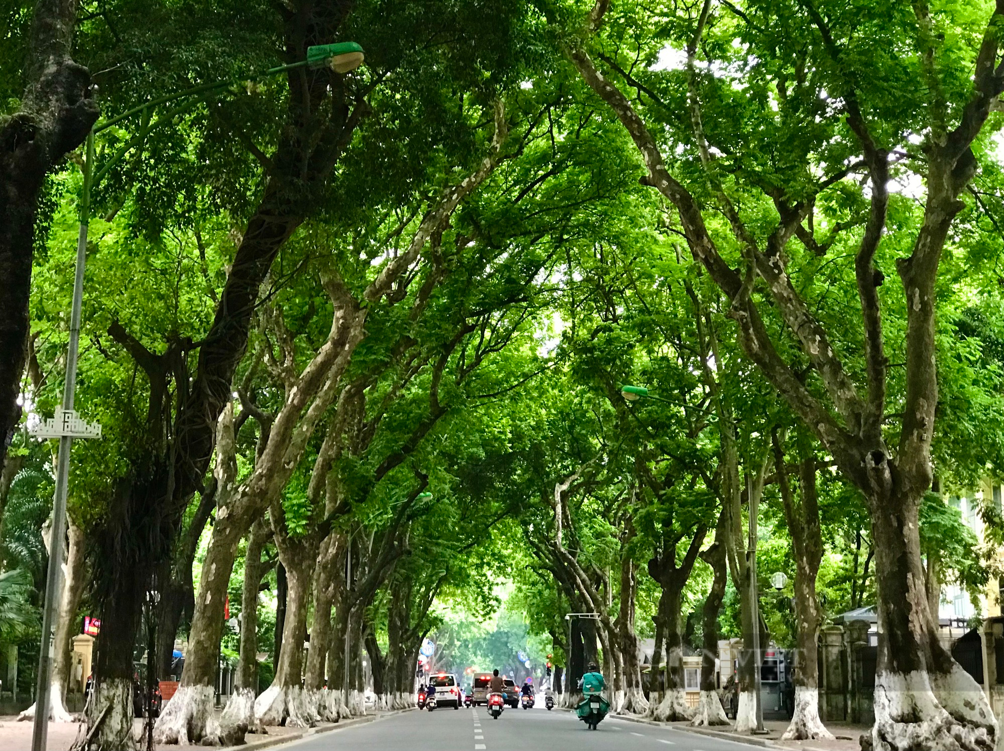 Ký ức Hà Nội: Kỷ niệm đẹp trong những ở Thủ đô Hà Nội - Ảnh 1.