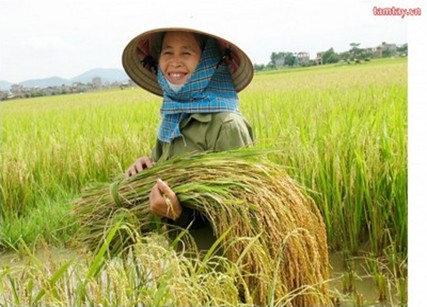 Chỉ thị của Ban Bí thư về lãnh đạo đại hội hội nông dân các cấp nhiệm kỳ 2023-2028 - Ảnh 1.