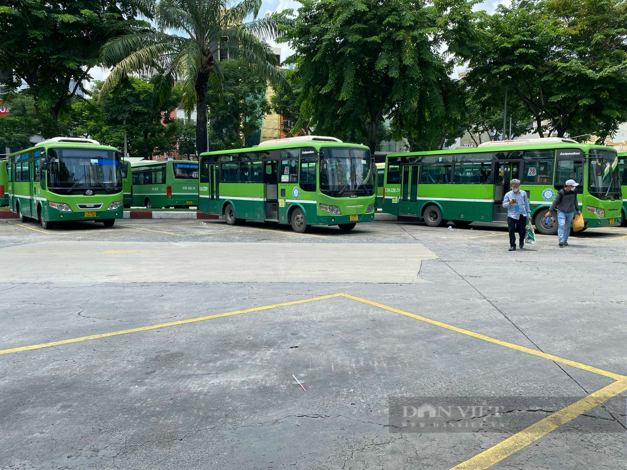 Xe buýt ở TP.HCM “phơi nắng” nhiều hơn hoạt động vì sao? - Ảnh 4.