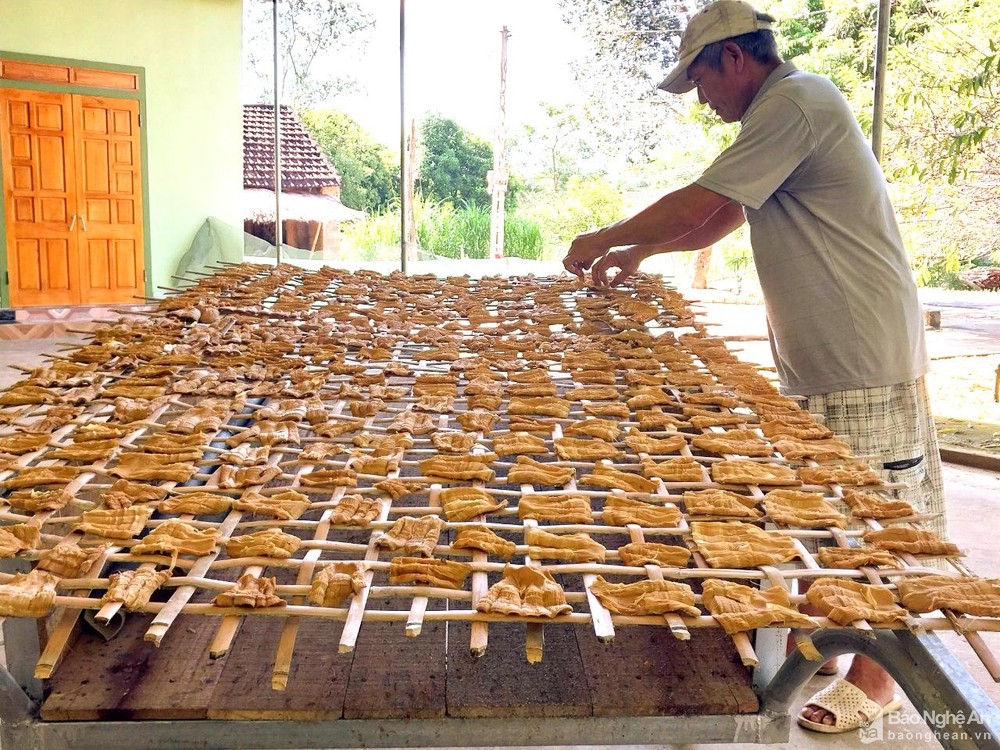 Săn loại &quot;lộc rừng&quot; cứ mưa là nhú lên ầm ầm, nông dân ở đỉnh Pù Loi kiếm tiền triệu mỗi ngày - Ảnh 4.