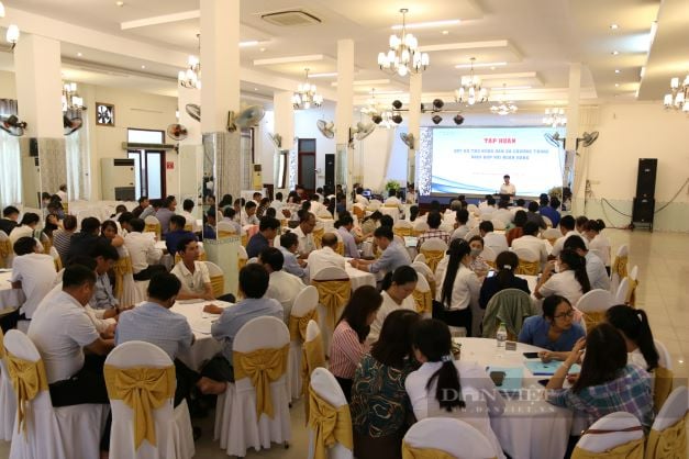 Ninh Thuận: Hơn 150 cán bộ được tập huấn nghiệp vụ Quỹ hỗ trợ nông dân và chương trình phối hợp với Ngân hàng - Ảnh 1.