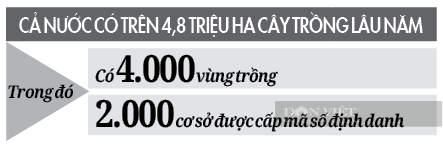 Bộ NNPTNT đưa vào sử dụng hệ thống quản lý vùng trồng: Tạo niềm tin cho nông sản! - Ảnh 5.