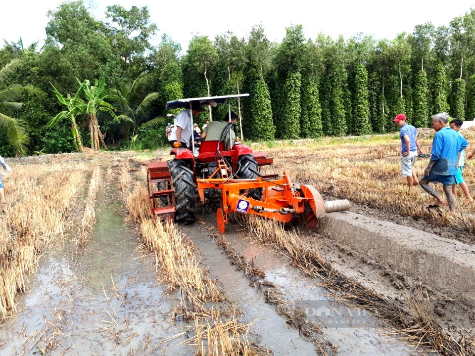 “Kỹ sư chân đất” trở thành Nông dân Việt Nam xuất sắc 2022 - Ảnh 7.