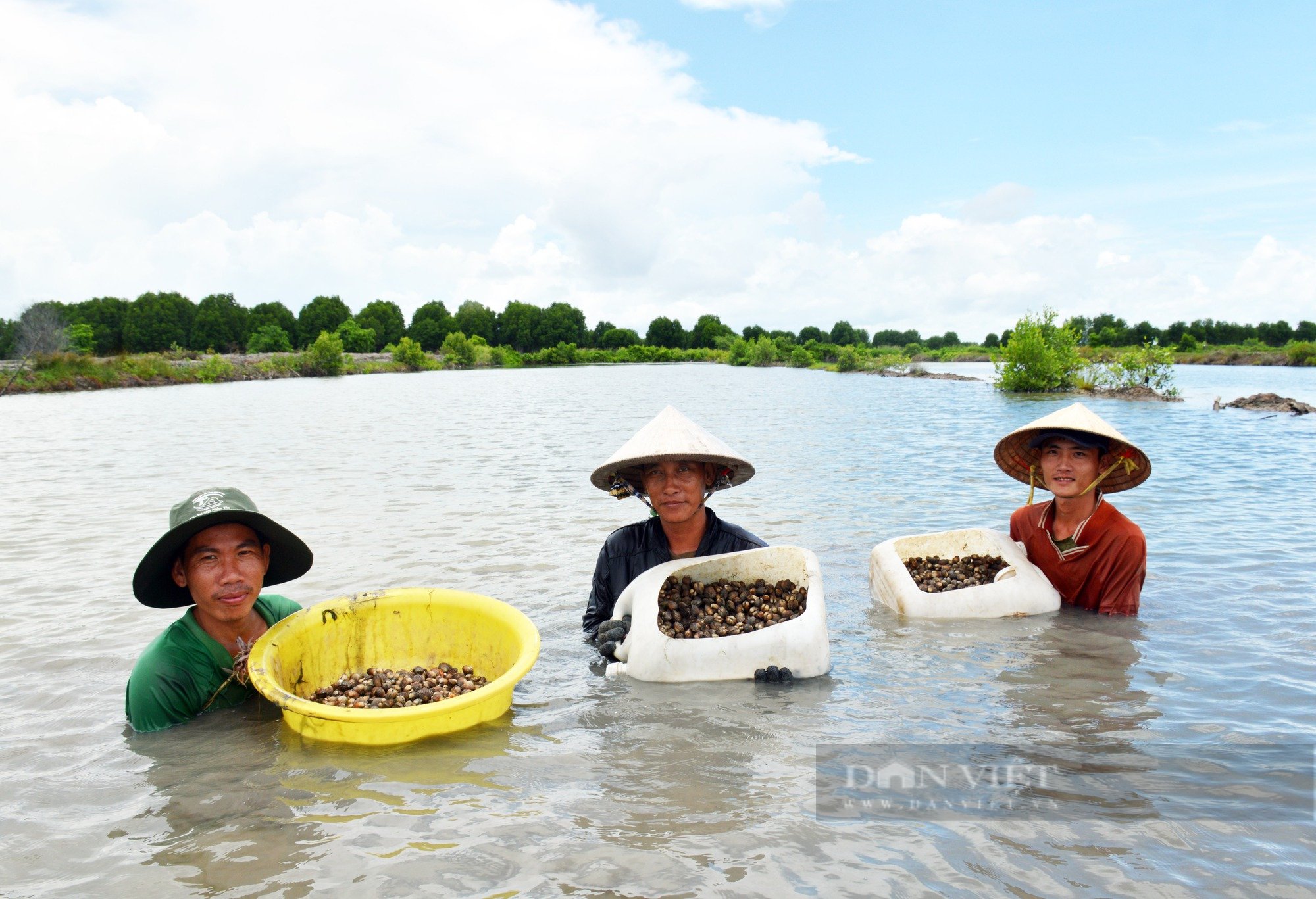 Nông dân Việt Nam xuất sắc 2022 ở Cà Mau nuôi sò huyết kiếm tiền tỷ - Ảnh 4.