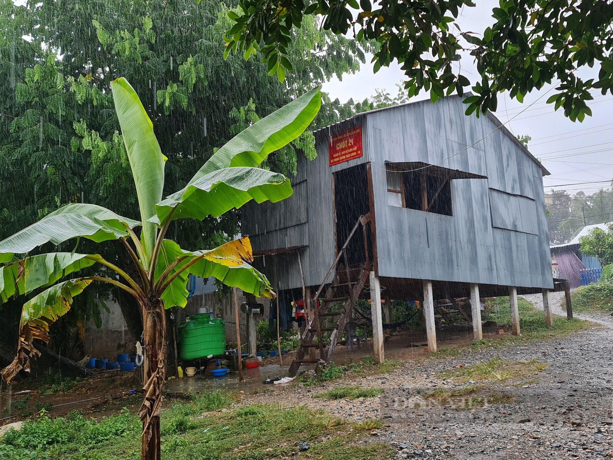 Ảnh: Người đàn ông lái vỏ lãi trên dòng sông định mệnh của 40 người trốn khỏi casino Campuchia bơi về Việt Nam  - Ảnh 7.