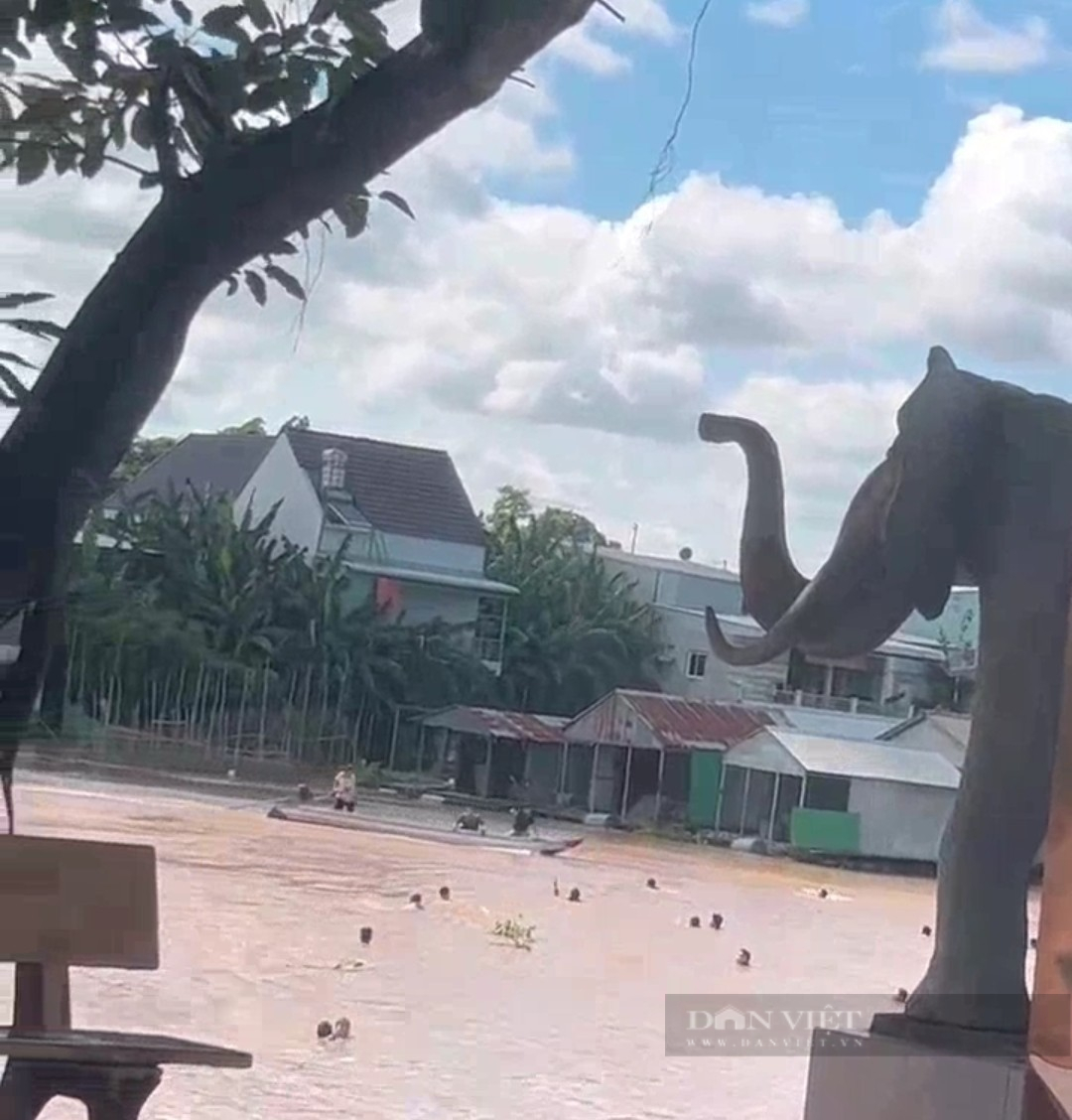 Ảnh: Người đàn ông lái vỏ lãi trên dòng sông định mệnh của 40 người trốn khỏi casino Campuchia bơi về Việt Nam  - Ảnh 10.