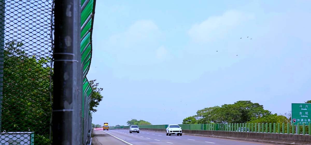 Mê mẩn với hàng trăm loài bướm tại &quot;Vương quốc bướm&quot; Đài Loan - Ảnh 10.