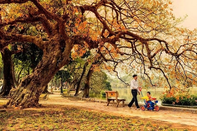 Hà Nội là điểm đến hấp dẫn nhất thế giới vào mùa thu - Ảnh 2.