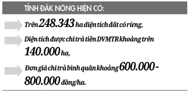 Nâng cao nhận thức về chi trả dịch vụ môi trường rừng ở Đăk Nông - Ảnh 2.