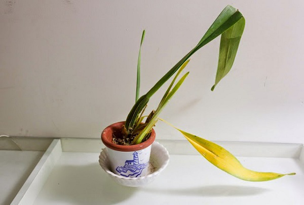Trong nhà có 4 hiện tượng này cẩn thận vận đen, ảnh hưởng tài lộc và sức khỏe - Ảnh 2.