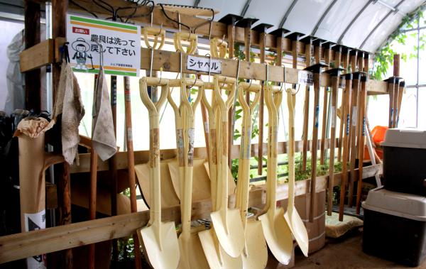 Thú vui điền viên của dân thành thị Nhật Bản: Thuê đất trồng rau, nghỉ việc về làm nông dân - Ảnh 7. Thú vui điền viên của dân thành thị Nhật Bản: Thuê đất trồng rau, nghỉ việc về làm nông dân - Ảnh 7.