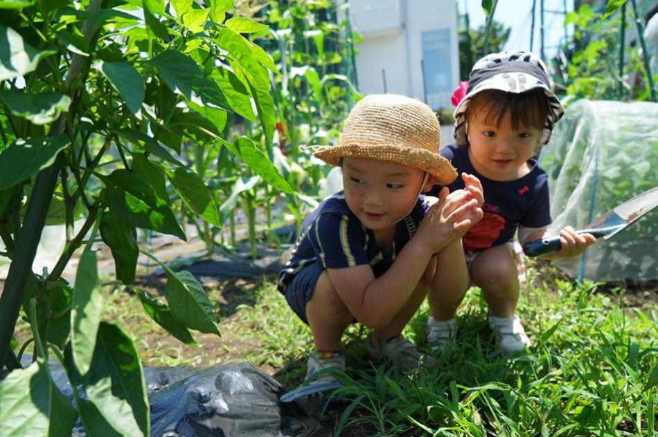 Thú vui điền viên của dân thành thị Nhật Bản: Thuê đất trồng rau, nghỉ việc về làm nông dân - Ảnh 9. Thú vui điền viên của dân thành thị Nhật Bản: Thuê đất trồng rau, nghỉ việc về làm nông dân - Ảnh 9.