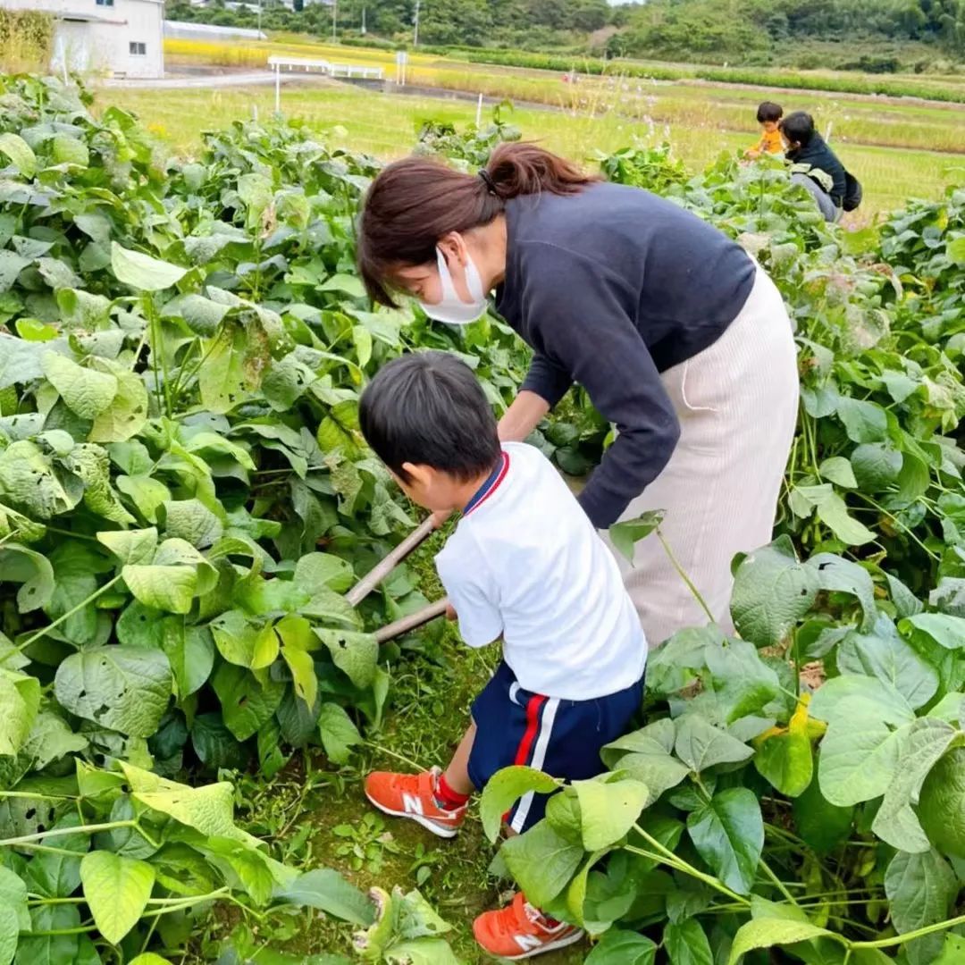 Thú vui điền viên của dân thành thị Nhật Bản: Thuê đất trồng rau, nghỉ việc về làm nông dân - Ảnh 10. Thú vui điền viên của dân thành thị Nhật Bản: Thuê đất trồng rau, nghỉ việc về làm nông dân - Ảnh 10.