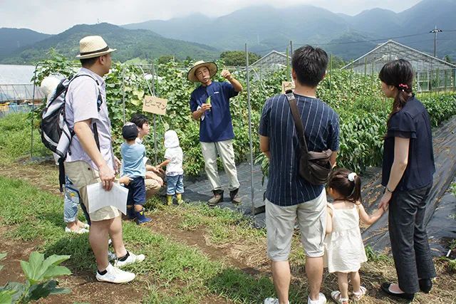 Thú vui điền viên của dân thành thị Nhật Bản: Thuê đất trồng rau, nghỉ việc về làm nông dân - Ảnh 11. Thú vui điền viên của dân thành thị Nhật Bản: Thuê đất trồng rau, nghỉ việc về làm nông dân - Ảnh 11.