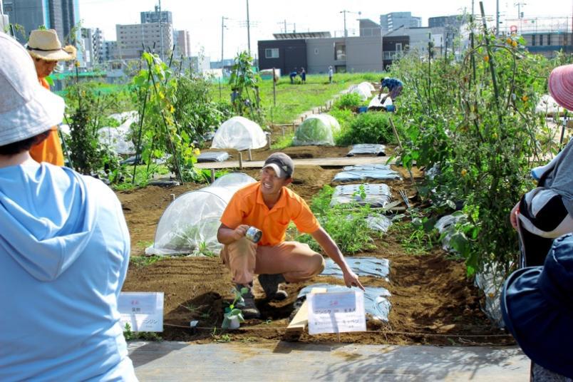 Thú vui điền viên của dân thành thị Nhật Bản: Thuê đất trồng rau, nghỉ việc về làm nông dân - Ảnh 12. Thú vui điền viên của dân thành thị Nhật Bản: Thuê đất trồng rau, nghỉ việc về làm nông dân - Ảnh 12.