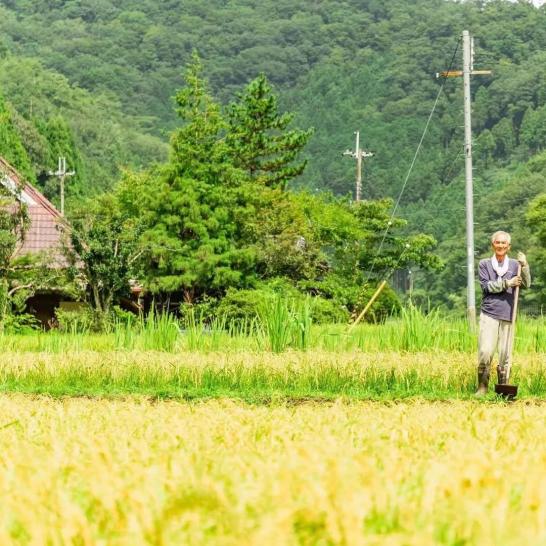 Thú vui điền viên của dân thành thị Nhật Bản: Thuê đất trồng rau, nghỉ việc về làm nông dân - Ảnh 15. Thú vui điền viên của dân thành thị Nhật Bản: Thuê đất trồng rau, nghỉ việc về làm nông dân - Ảnh 15.