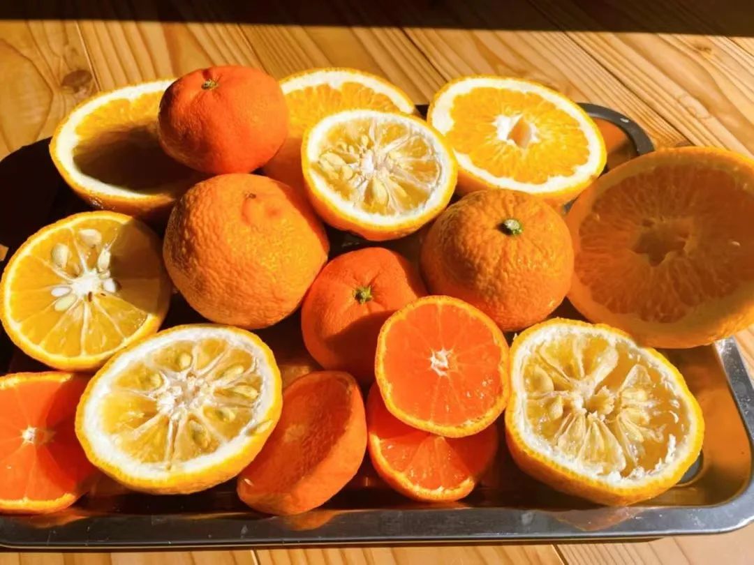 Thú vui điền viên của dân thành thị Nhật Bản: Thuê đất trồng rau, nghỉ việc về làm nông dân - Ảnh 20. Thú vui điền viên của dân thành thị Nhật Bản: Thuê đất trồng rau, nghỉ việc về làm nông dân - Ảnh 20.