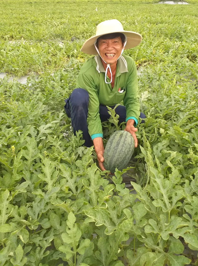 Ứng dụng chế phẩm sinh học trong sản xuất, hướng đến nền nông nghiệp bền vững - Ảnh 2.